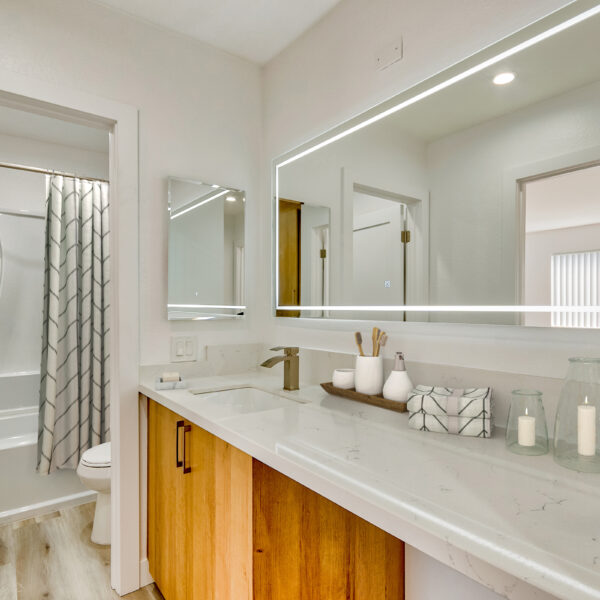 Vanity with LED lit mirror, can lighting, quartz countertops and new cabinetry